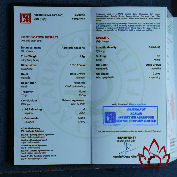 Vòng Trầm Hương Hạt Dẹp | 10 Ly | Trầm Bì Rễ Tự Nhiên